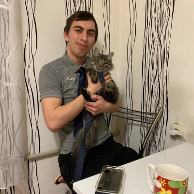 Отзыв от Никиты Утигалиева