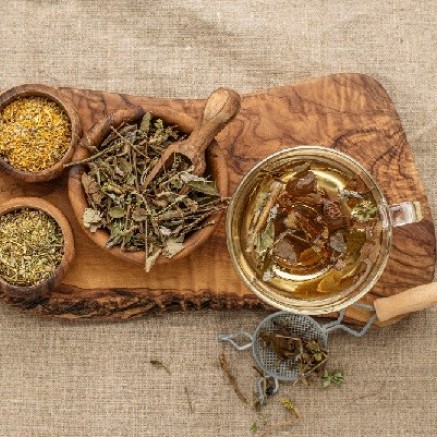 Доктор фитотерапии – Doctor of Plant Medicine (DPIMed). Курс профессиональной переподготовки, обучение по ФГОС